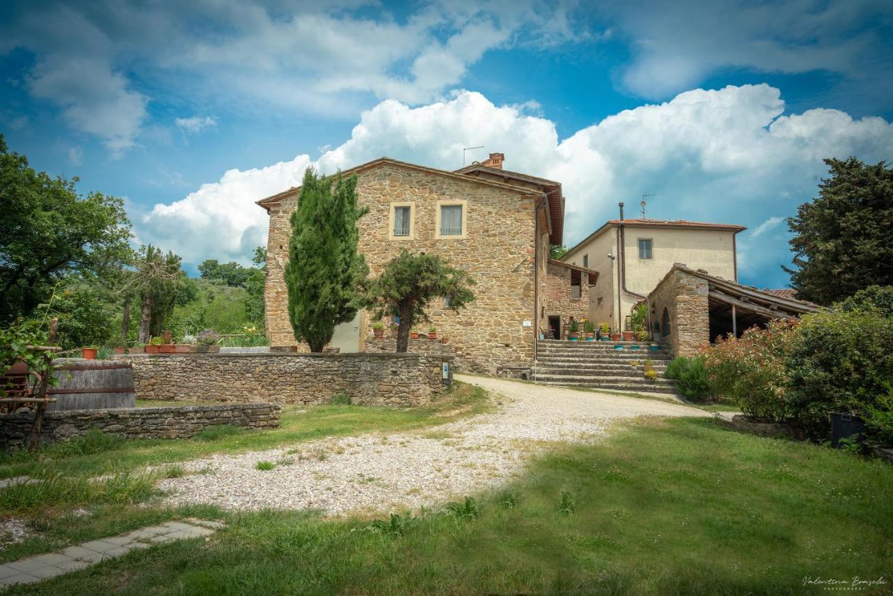 Agriturismo Corzano Барберино ди Мугело Екстериор снимка