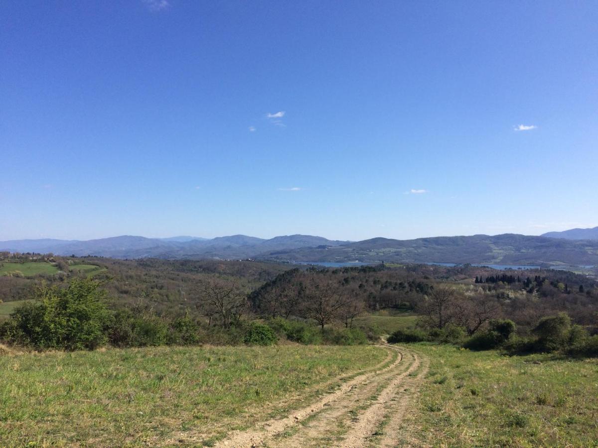 Agriturismo Corzano Барберино ди Мугело Екстериор снимка