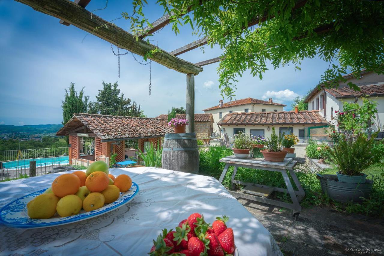 Agriturismo Corzano Барберино ди Мугело Екстериор снимка